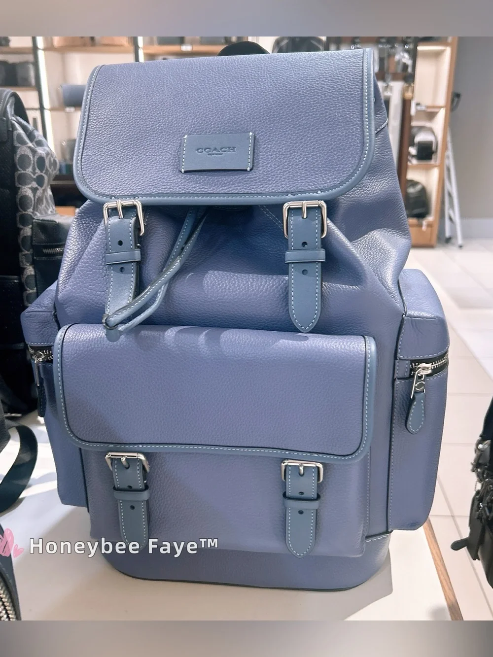 Coach Men's sprint Leather Backpack in Lavender Blue CBI11